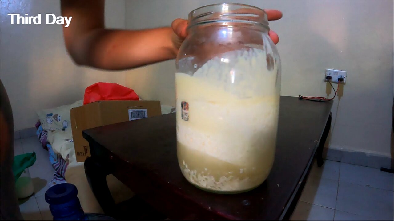 How To Make Kefir Without Grains - Raw Honey Culture - Recover From Antibiotics and Depression