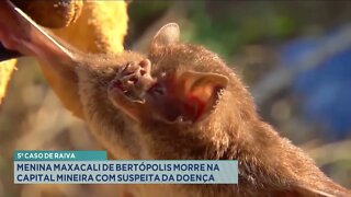 5º caso de Raiva: menina Maxacali de Bertópolis morre na capital mineira com suspeita da doença
