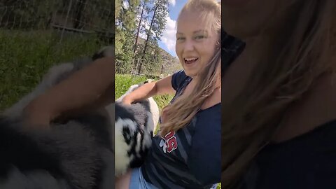 #farmlife #farm #shorts