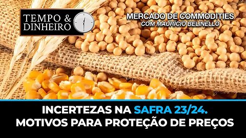 Incertezas na safra 23/24.Motivos para proteção de preços