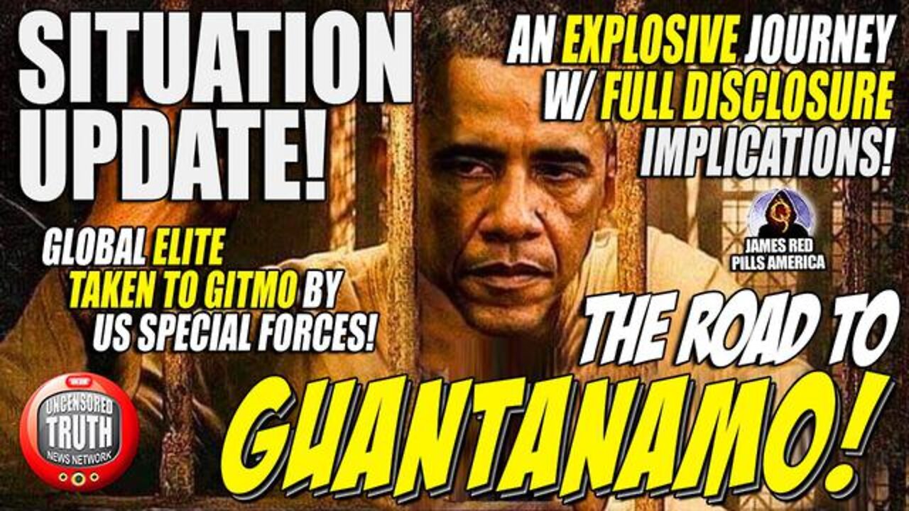 Q Sheep NO More