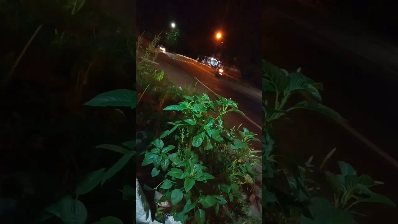jalan sepi