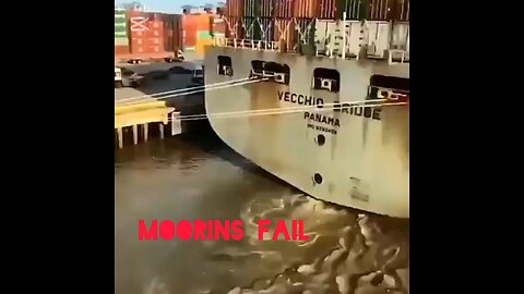 ocean life biggest cargo ship fail viral video