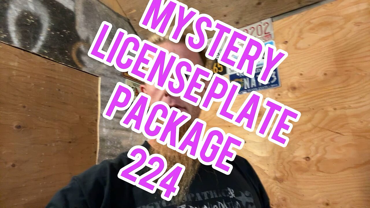 Mystery license plate package 224