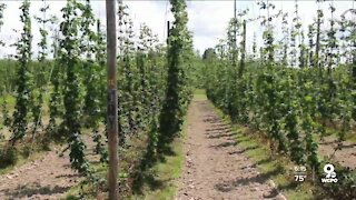 Growing coalition steers retired veterans towards farming