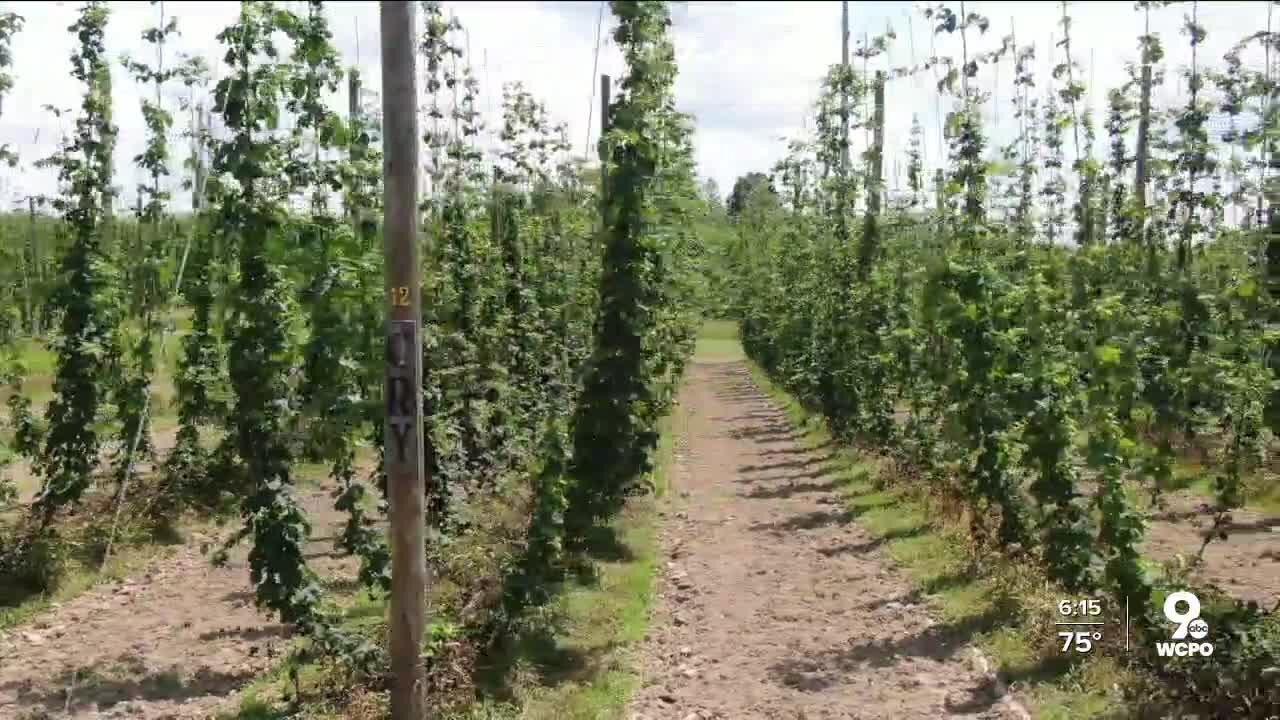 Growing coalition steers retired veterans towards farming