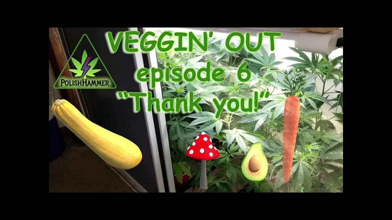 VEGGIN' OUT! Episode 6 "Thank you!" #FRIENDS #SHOPLIGHT #FLORAFLEX #420 🍑🍒🌸🍆🥦🔨