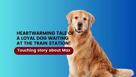 Heartwarming Tale of a Loyal Dog Waiting at the Train Station!