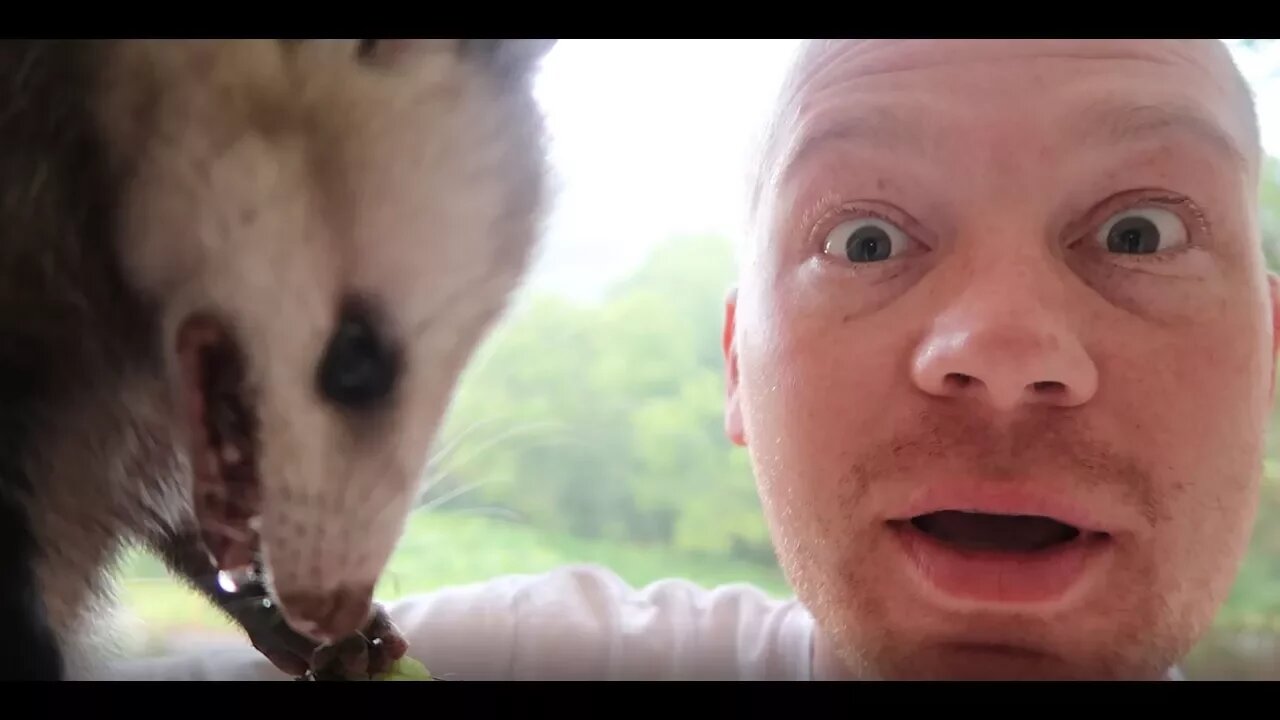 ULTIMATE WIFE PRANK - Wake up with a POSSUM!!!