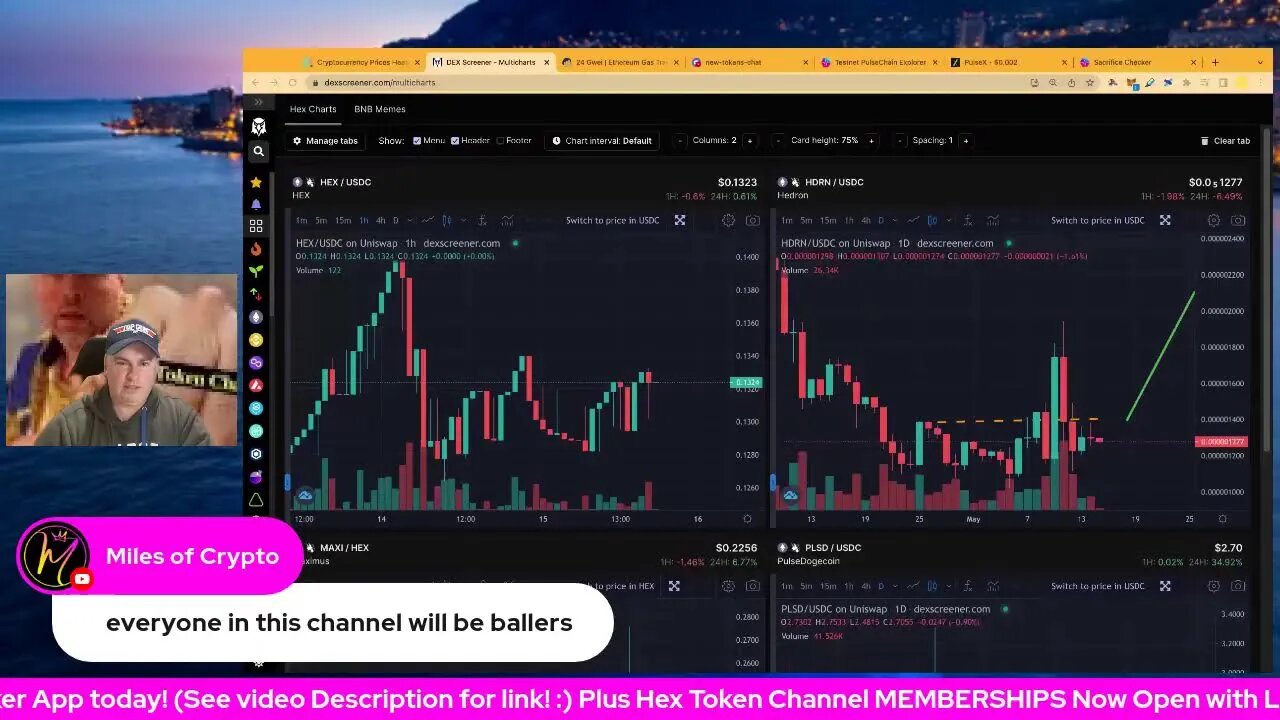 The Future Of Pulsechain: PulseX, Hex, Dapps, Heart Wallet & Stable, Aggregator, Margin Trading!