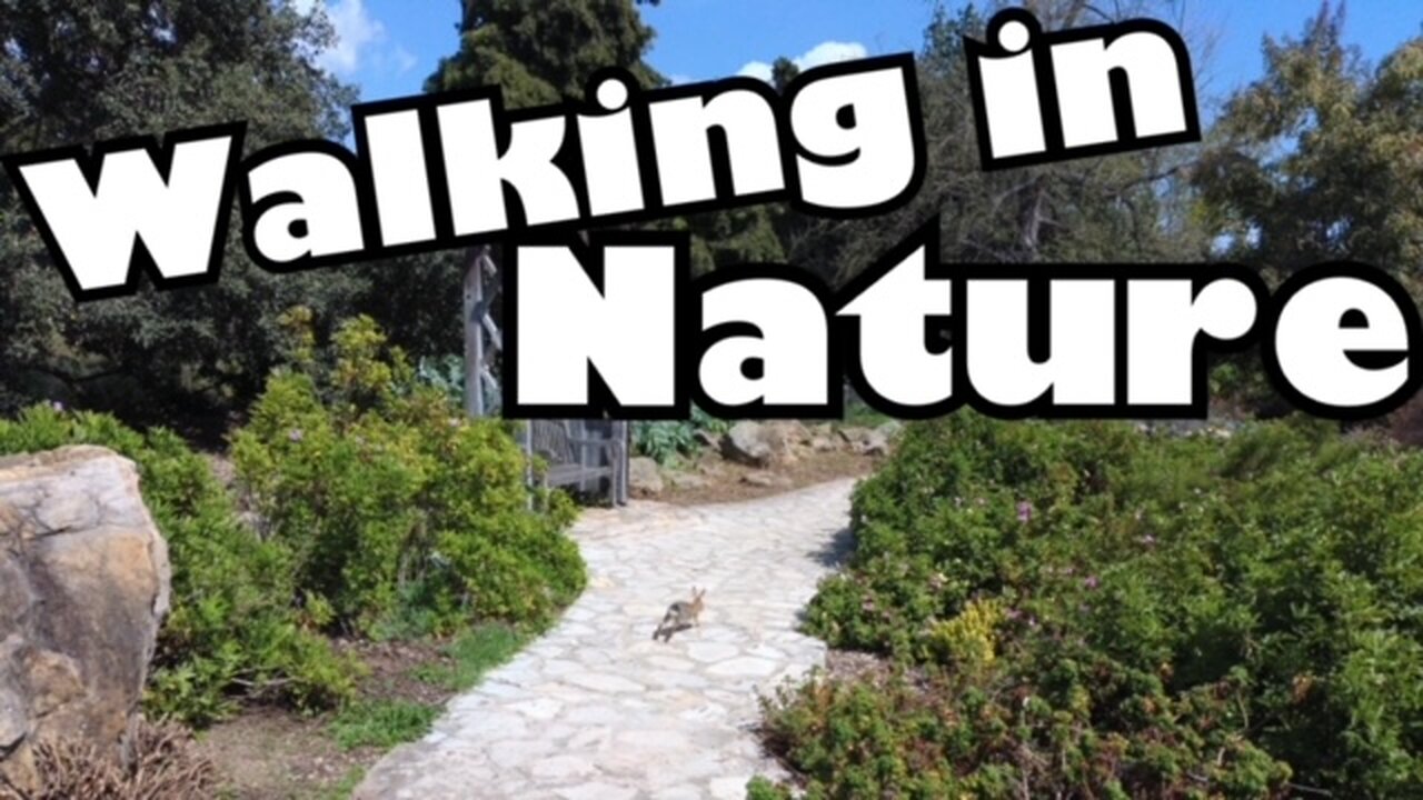 Walking in Nature