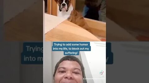 From @funny_videosm on TikTok