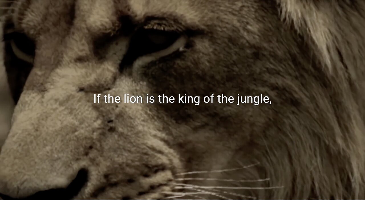 LION MENTALITY - Motivational Video