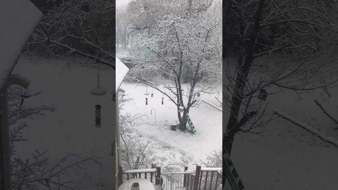 Morning Snow Showers