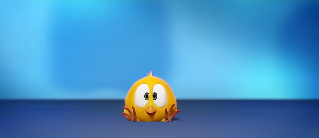 Where's Chicky Funny Chicky || CHICKY || KIDS' ZONE