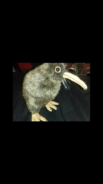 Kaiju Kiwi Vs The Red Army Featuring Campbell The Toast