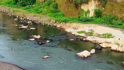 3 hours of a flowing river for Fast falling asleep,Relaxation,Meditation.White Noise