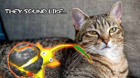 Cat Sounds Like Pikmin