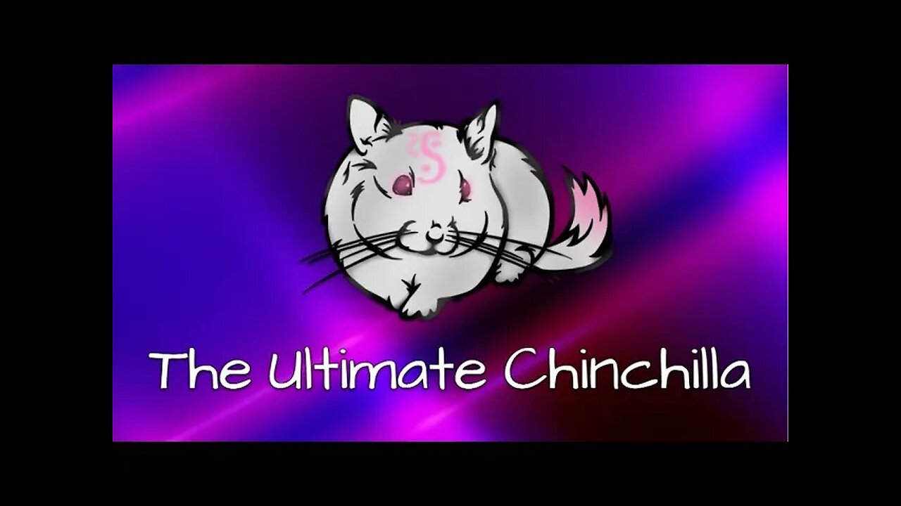 The Ultimate Chinchilla