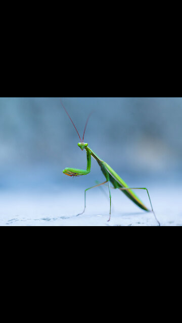 3 Quotes to Positively Impact Your Day