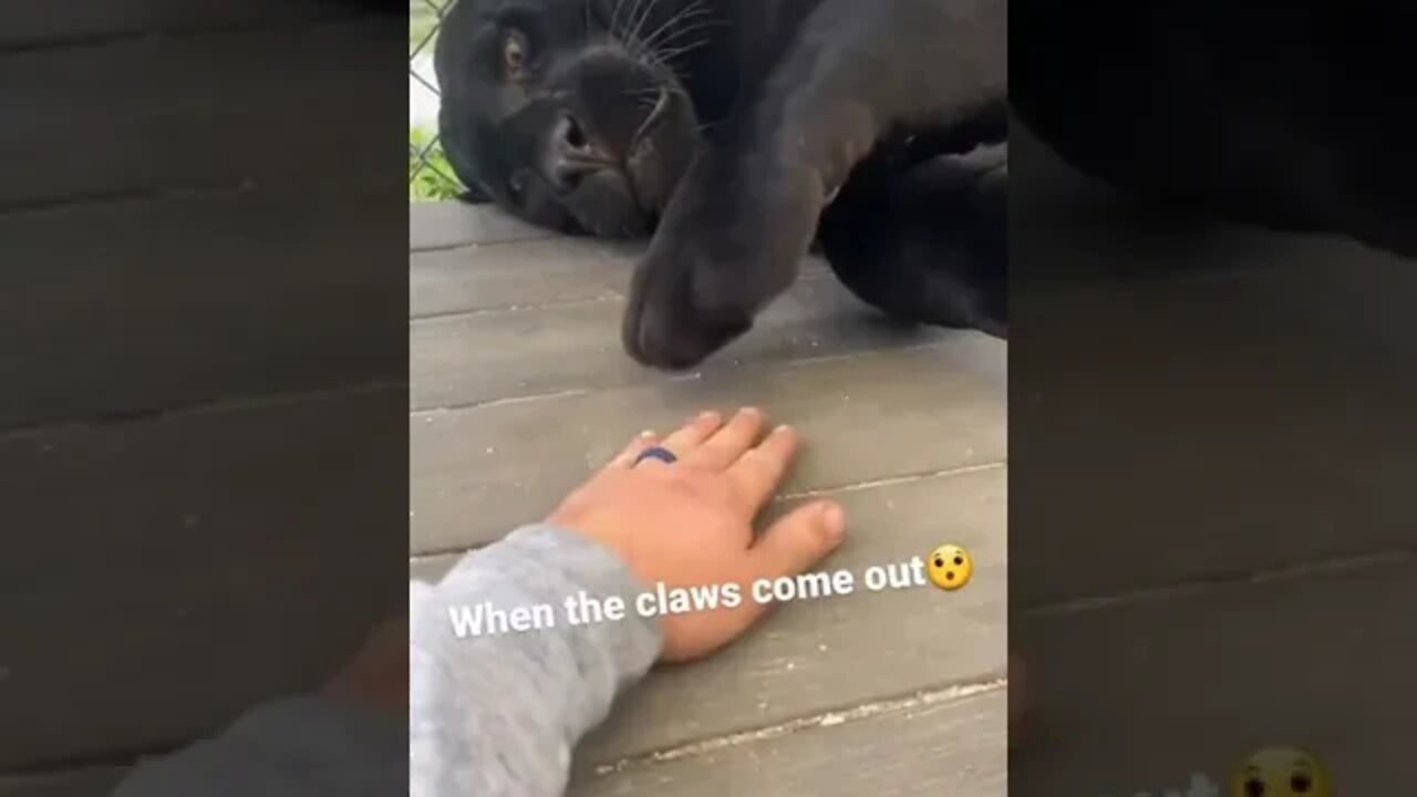 When The Claws Come Out