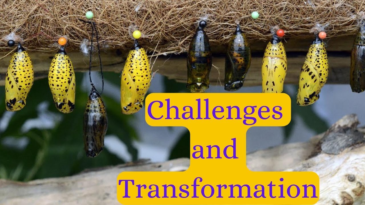 Ep 45 | Challenges and Transformation