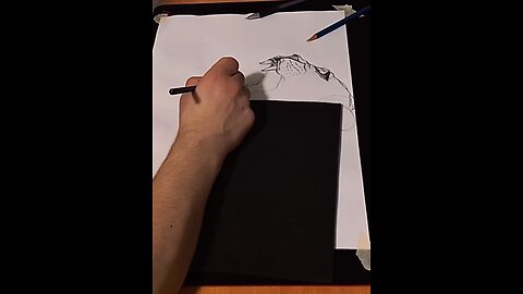 Lion Portrait Drawing