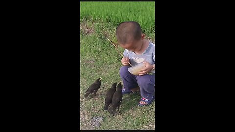 Feeding Bird by kid..