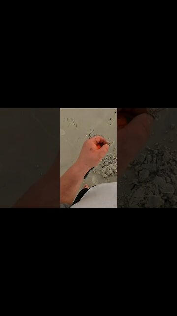 Wow! Excellent find Detecting #shorts