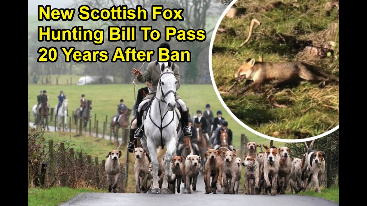 New Scottish fox hunting bill to pass 20 years after ban