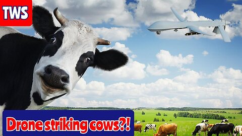 The US Government Is Drone Striking Cows in New Mexico