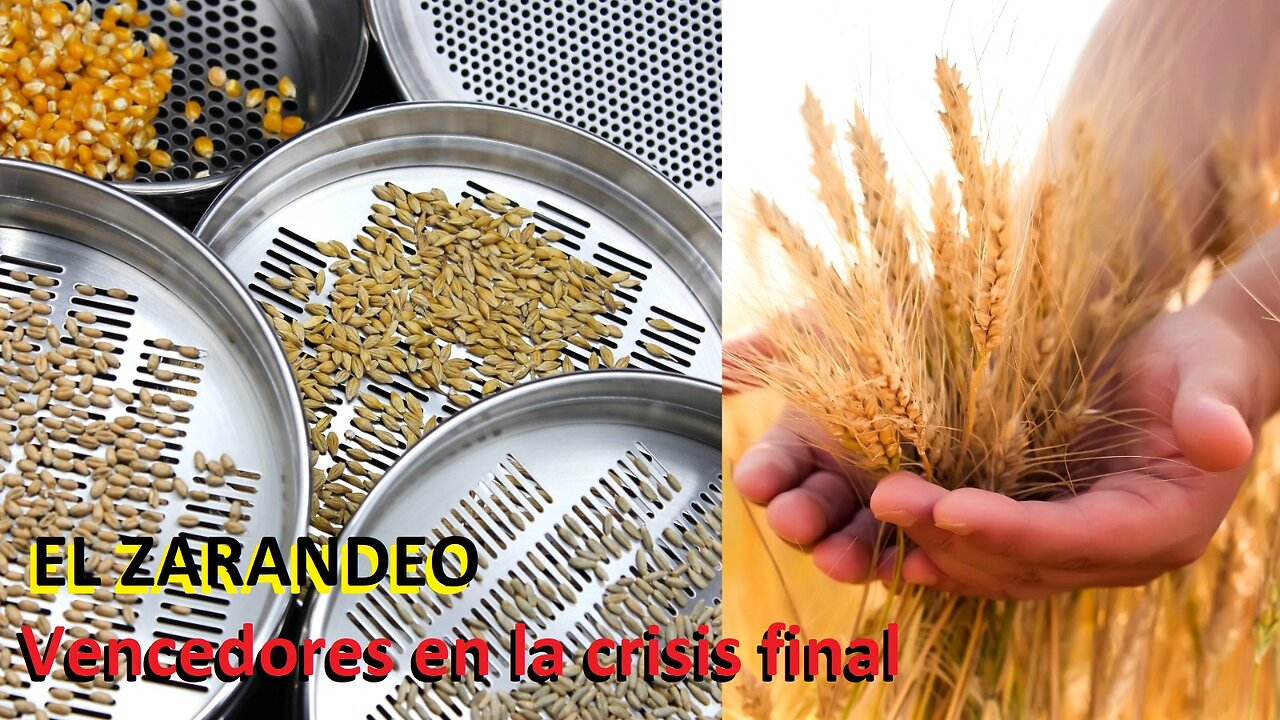 Dilo al Mundo | El Zarandeo - Vencedores en la crisis final