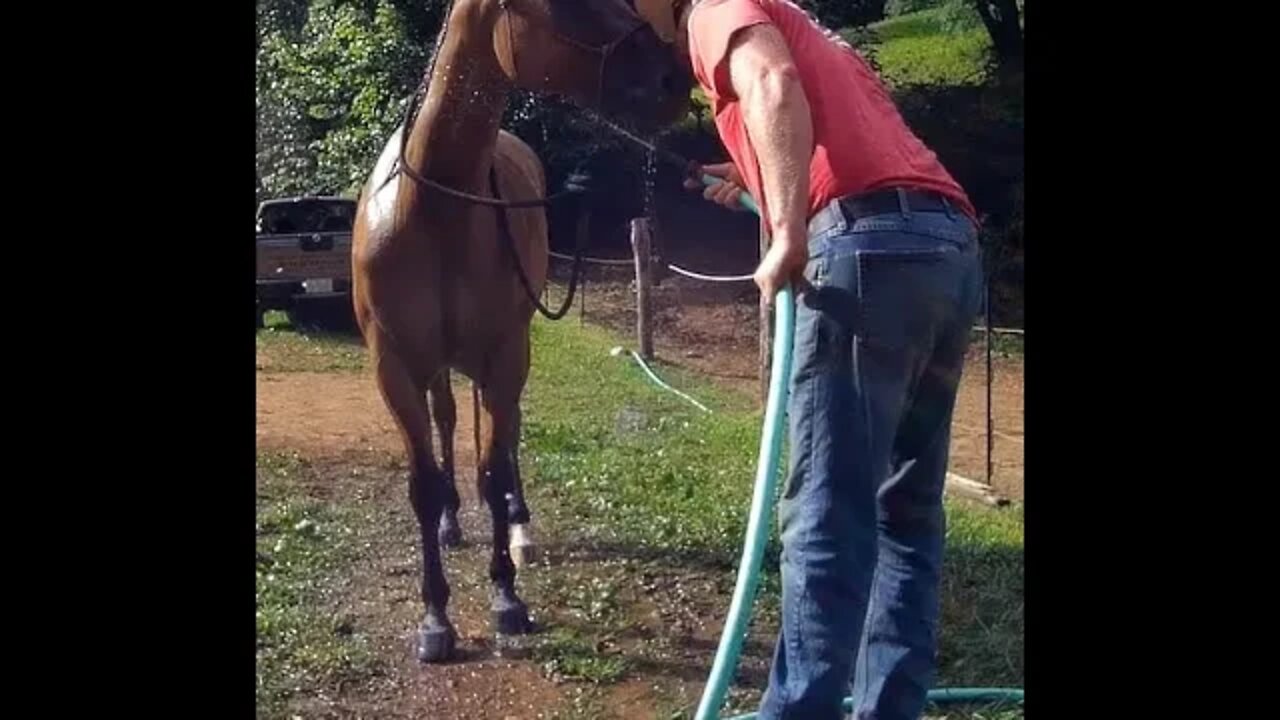 Allie Gets a Bath at Liberty