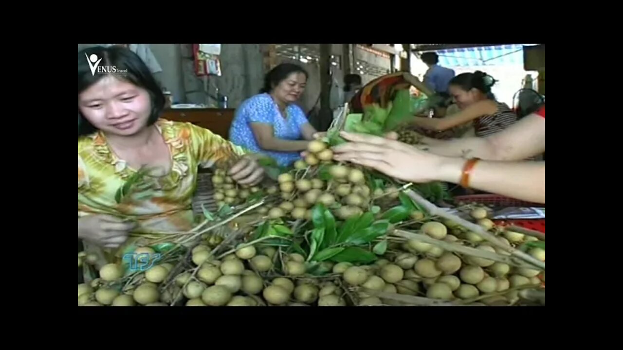 Mekong Ký Sự - Tập 74