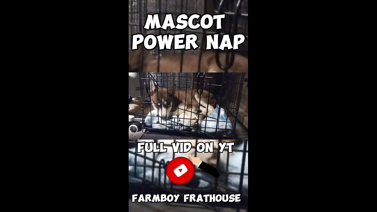 Mascot Power Nap