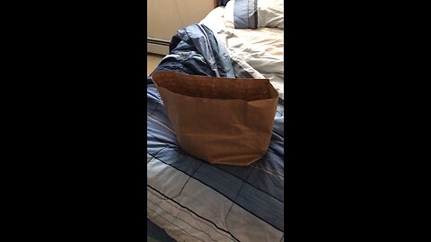 Chef Boy R Dizzy VLOG: #HussonHollowGroupHome 🚘 #July #23 #2023 ⏰🗓