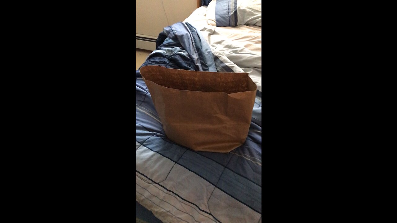 Chef Boy R Dizzy VLOG: #HussonHollowGroupHome 🚘 #July #23 #2023 ⏰🗓