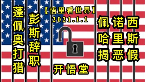 KWT710 彭斯辞职蓬佩奥打猎佩诺西哈里斯揭恶假210101-03【悟里看世界】