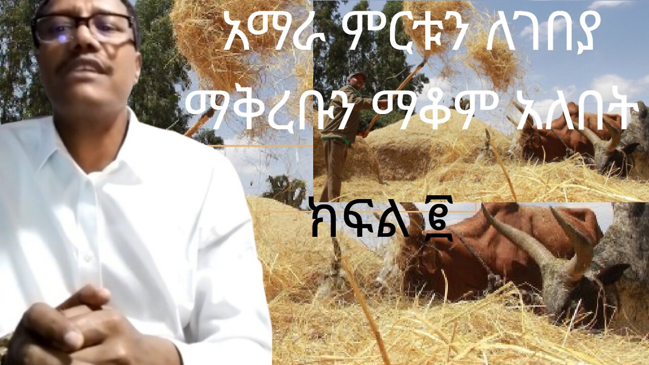 አማራ ምርቱን ለገበያ ማቅረቡን ማቆም አለበት ፪