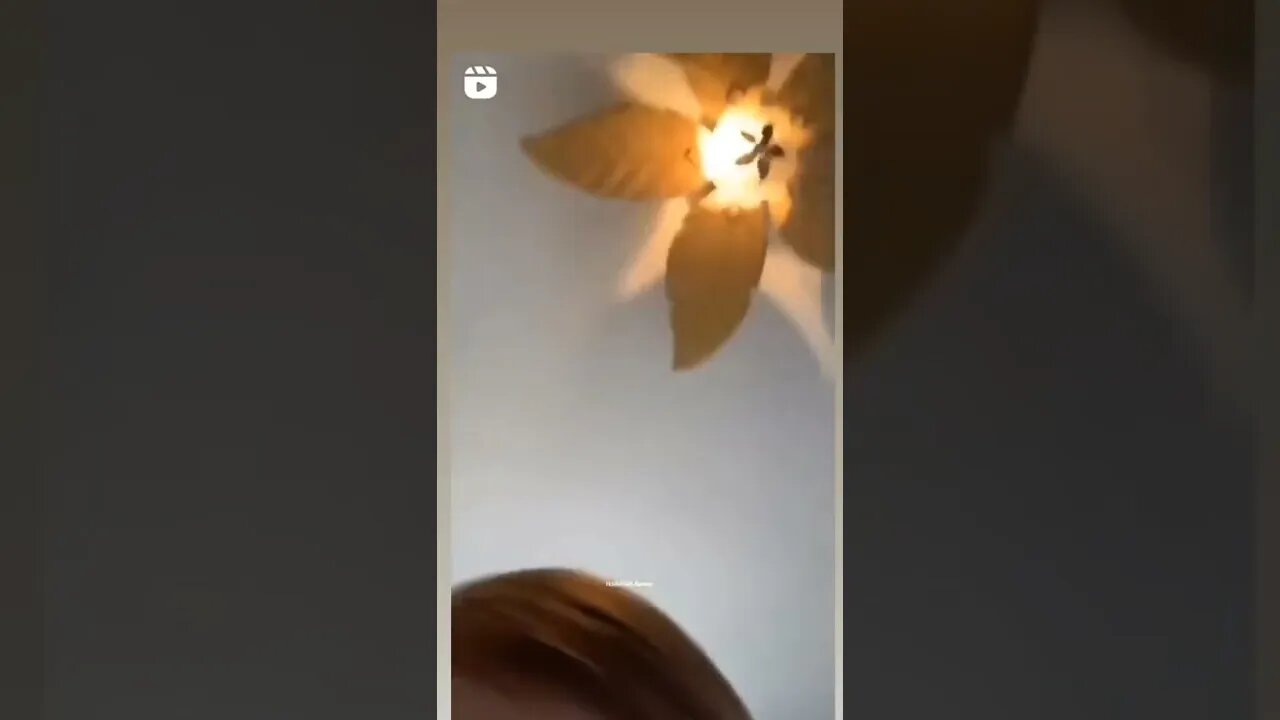 أجمل كذبة 🥰🥰
