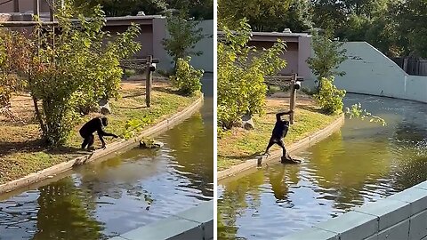 Monkey plays fun-filled game of catch with kids at Tulsa Zoo