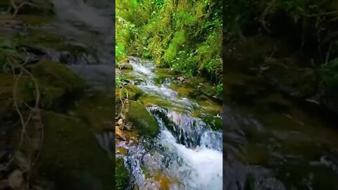 waterfall#perfect day#shorts