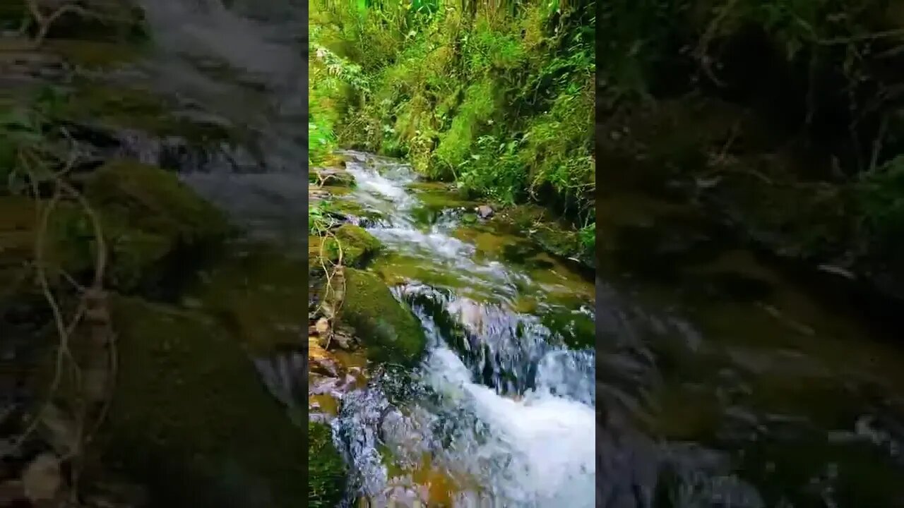 waterfall#perfect day#shorts