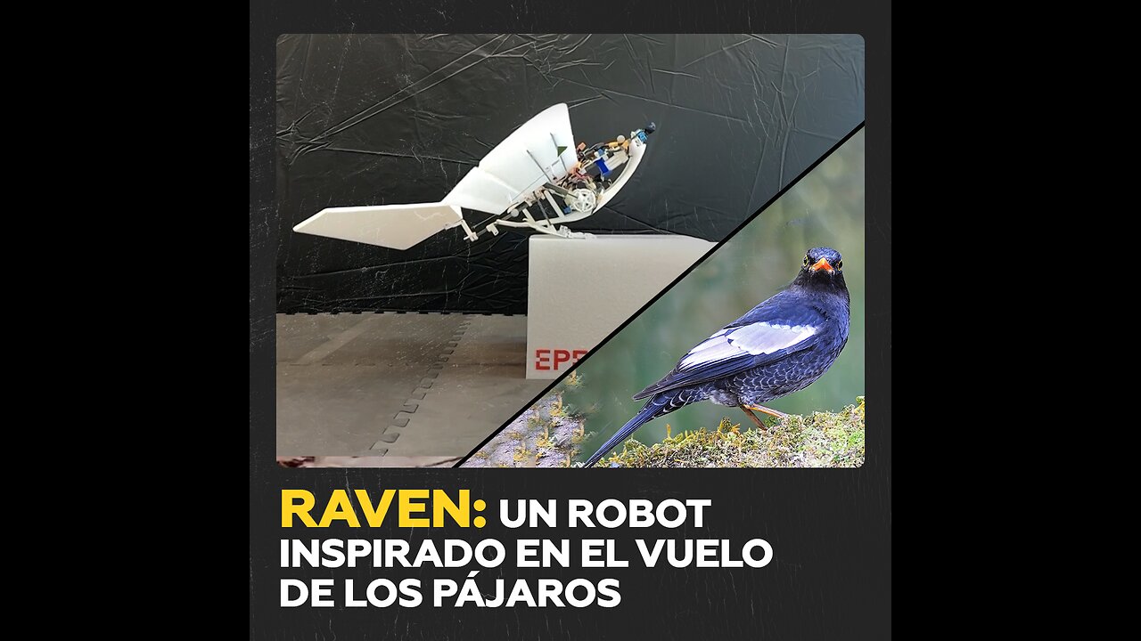 Científicos crean un robot que vuela como un pájaro