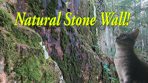 Natural Stone Wall--The Pathless Wilderness of Northern Ontario HD