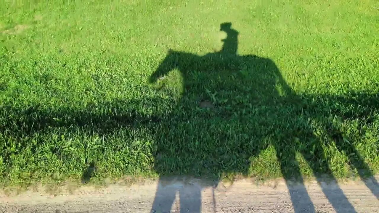 Shadow of Horse & Rider - Tail-end of 7 Mile Country Road Ride 😀