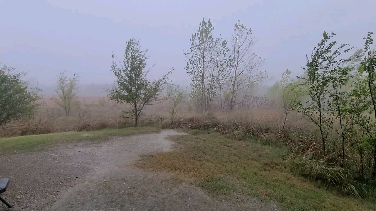 First Thunderstorm Shower ⛈️ 😬