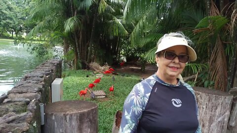 Belém3 - Pça Portal da Amazonia e Parque Mangal das Garças