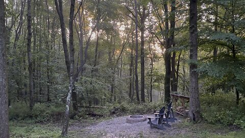 The Mohicans tree house