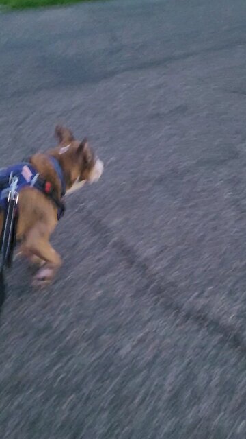 Select THESE With GREAT Care